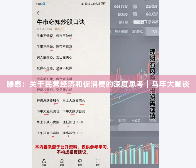 滕泰：关于民营经济和促消费的深度思考︱马年大咖谈